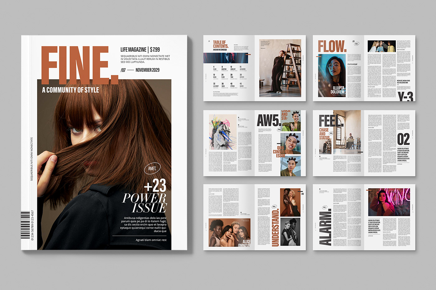 magazine brochure Zine  template Layout modern contemporary InDesign indd multi