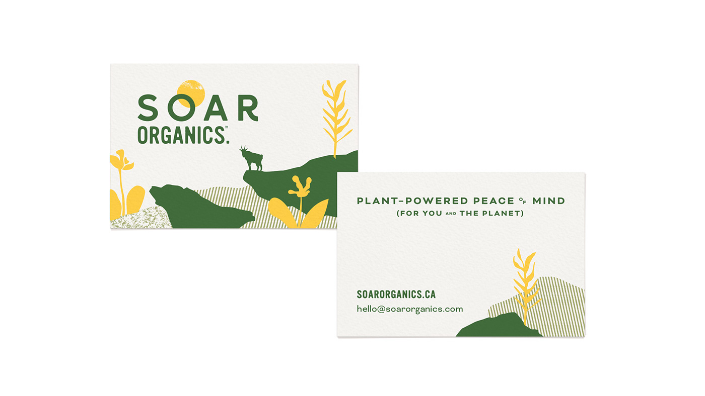 Brand Design branding  Food Packaging ILLUSTRATION  Packaging packaging design typography   visual identity