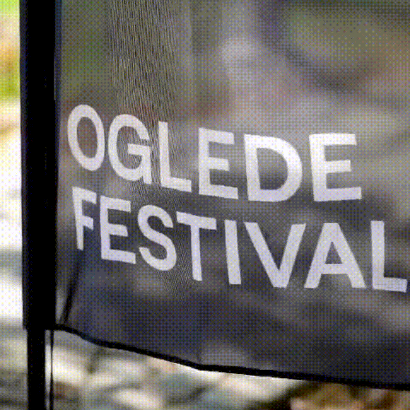 festival design festival art contemporary migrant people portrait branding  Logotype eye