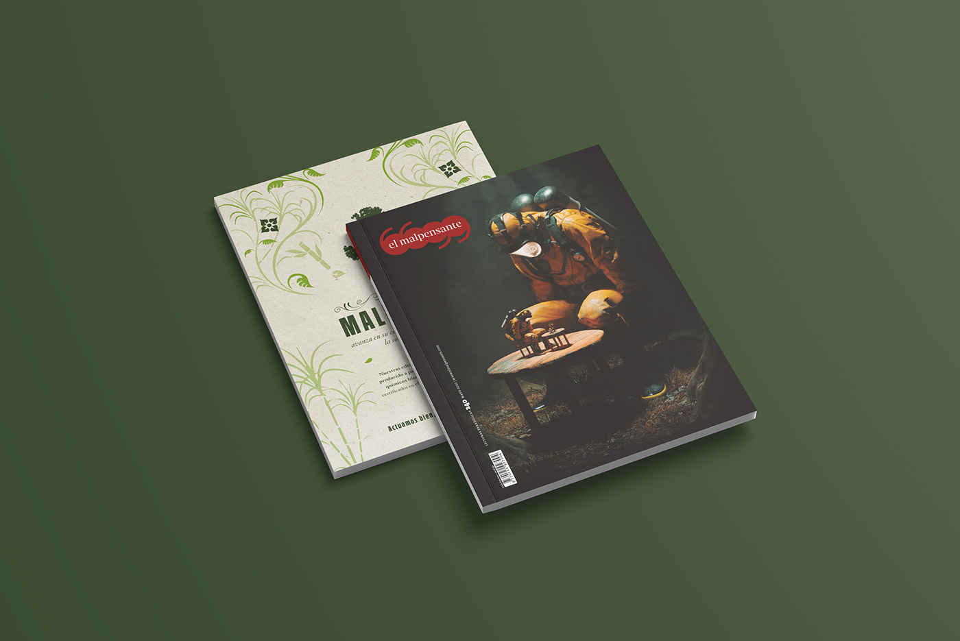 Advertising  Ecology editorial graphicdesign magazine marketing   print revista Sustainability typography  