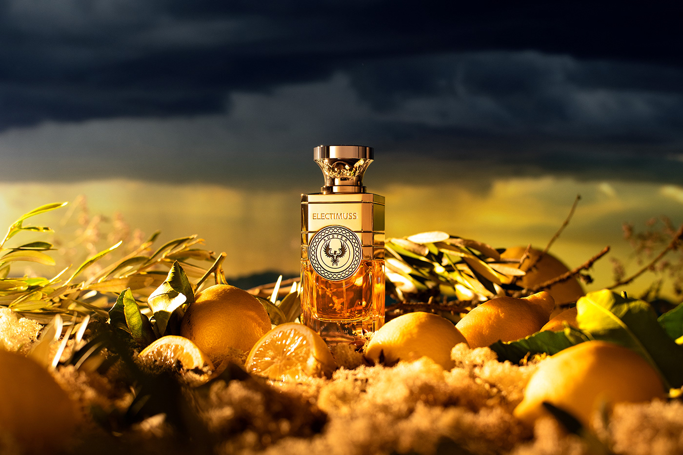Fragrance perfume Product Photography still life tabletop beauty photoshoot photographer