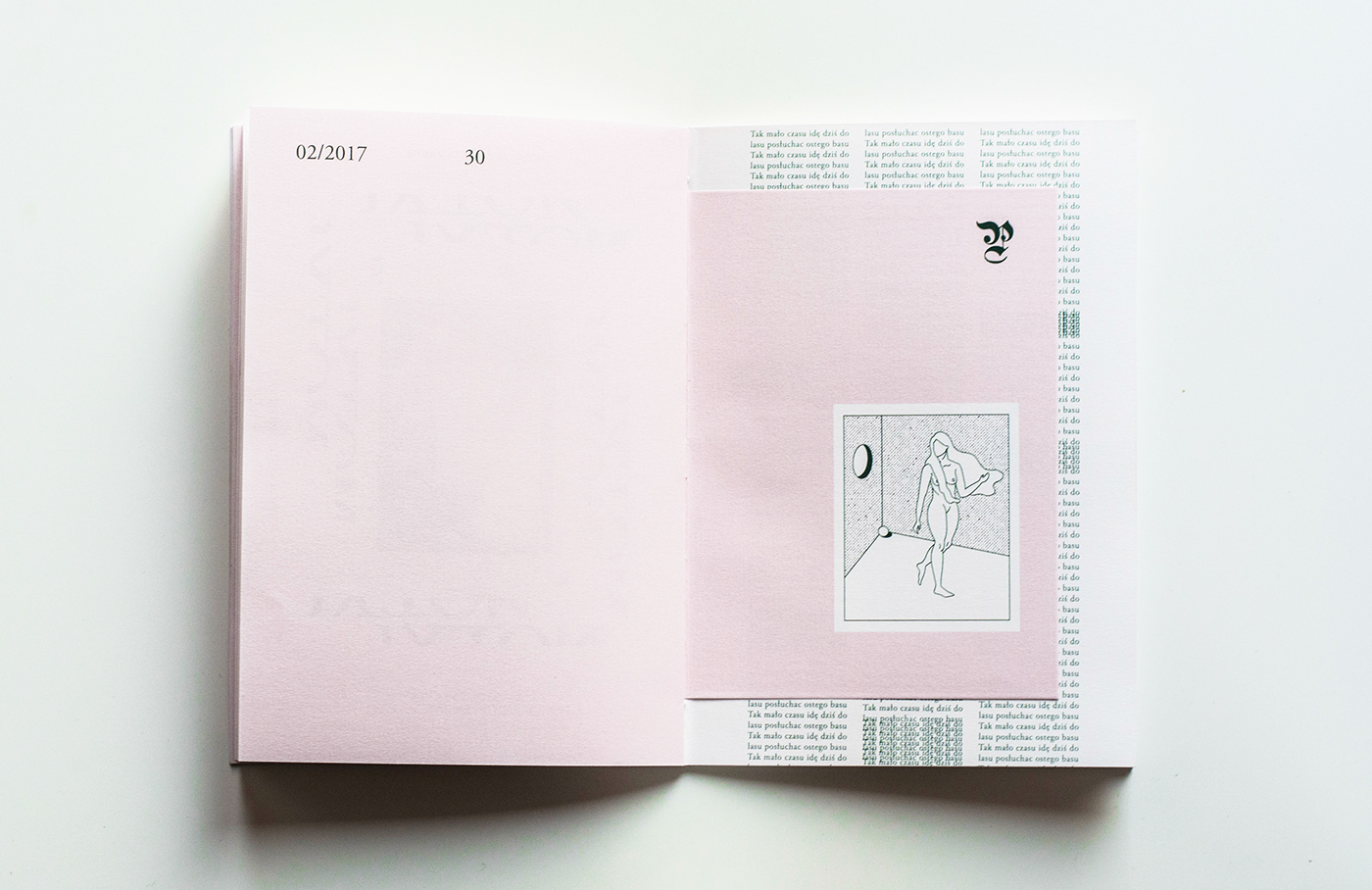 editorial design  ILLUSTRATION  print book publishing   Zine  pink poems analog ilustracja