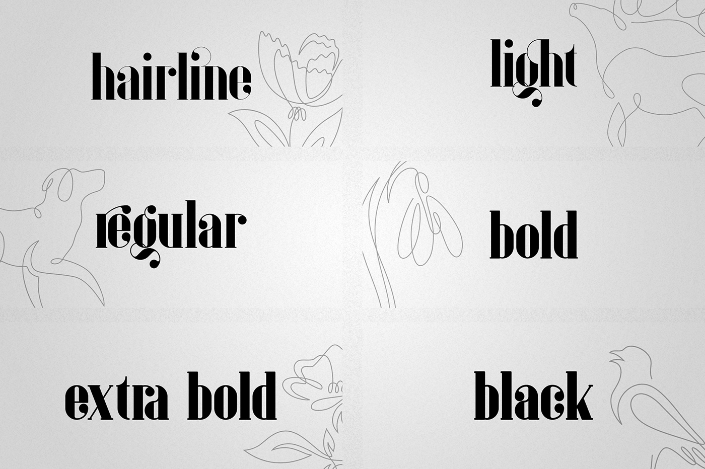 font Typeface serif hairline light bold regular extra black extra bold