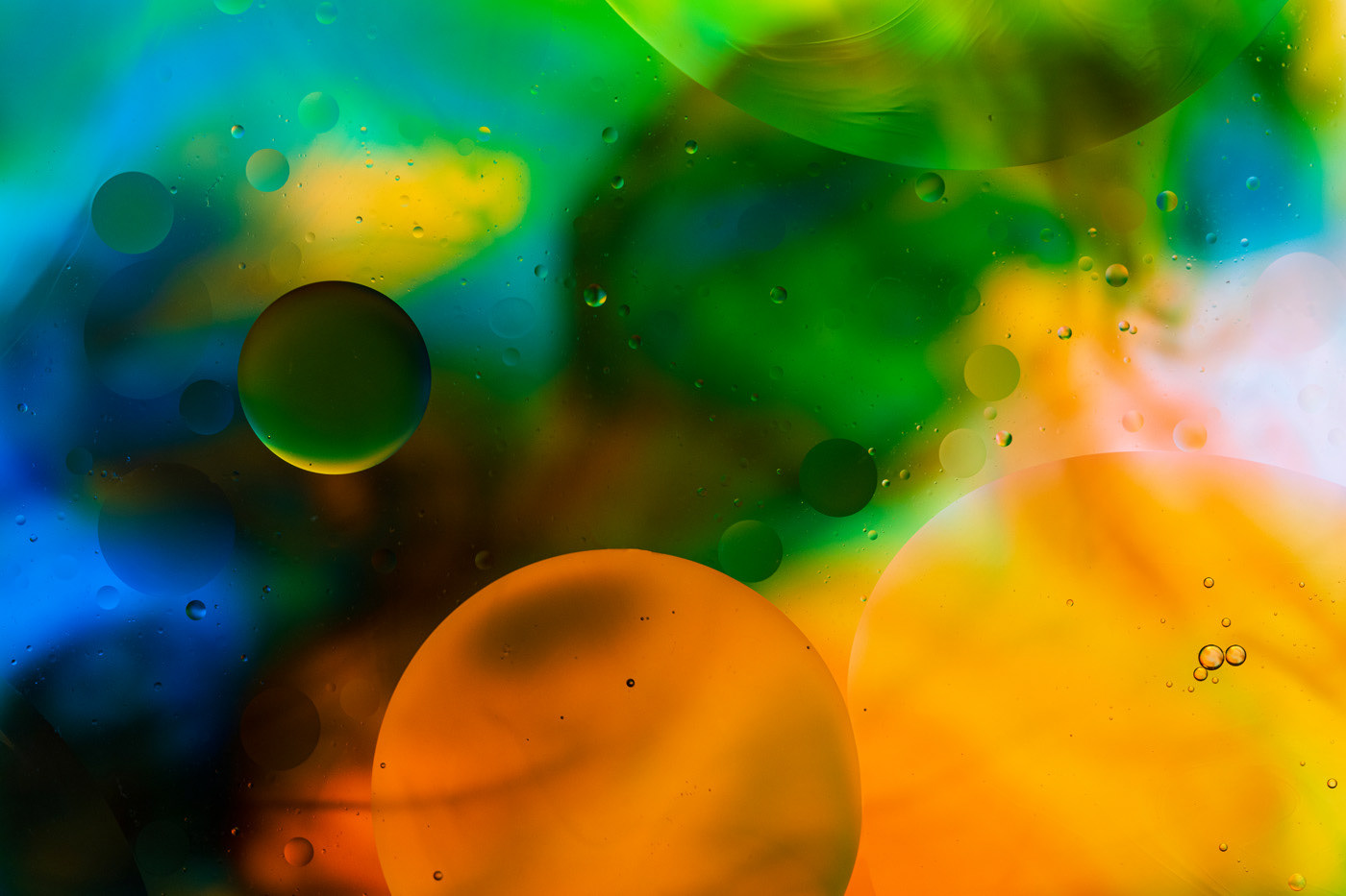 abstract photography bubbles closeup gradient Liquid macro oil and water pattern Primary colors shapes