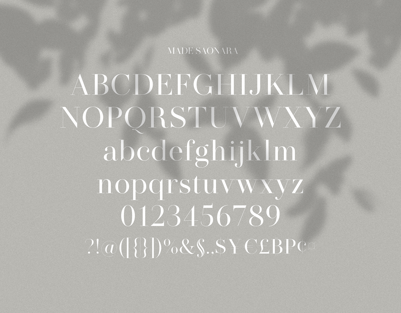modern serif magazines free multilingual Website logo trend Title