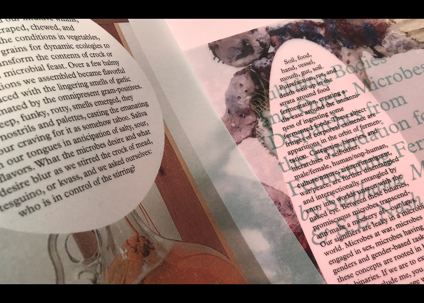 Adobe Portfolio feminism book design art book cover graphic design  fermentation pink