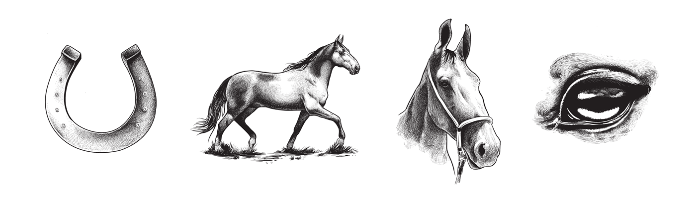 #Branding #Design #horse   cavalo design gráfico graphic design  identidade visual Ilustração ilustration logo