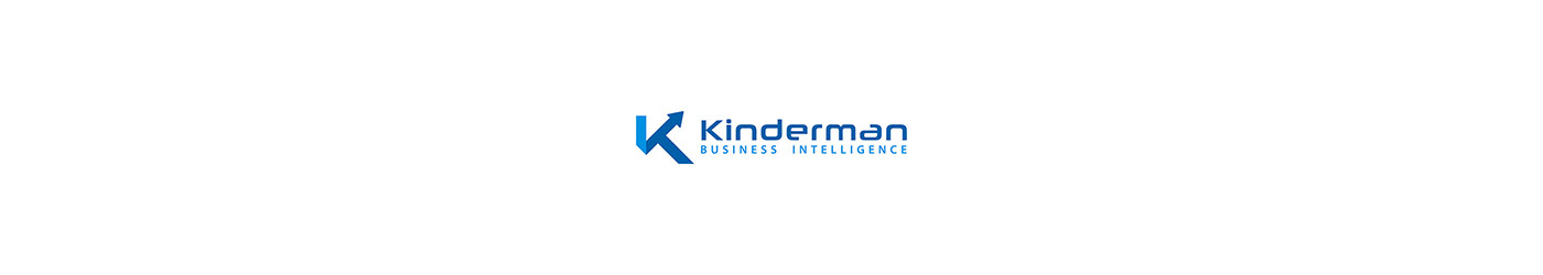 art direction  Big Data brand identity branding  business intelligence graphic design  kinderman kindermanbi Logo Design Web Design 