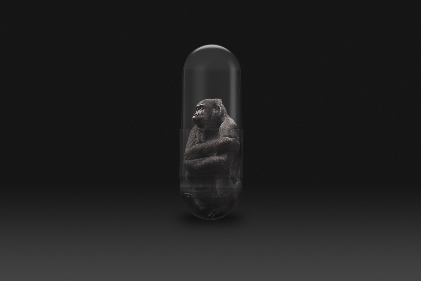 Svalbard ape capsule conceptual environment existence inspire preservation