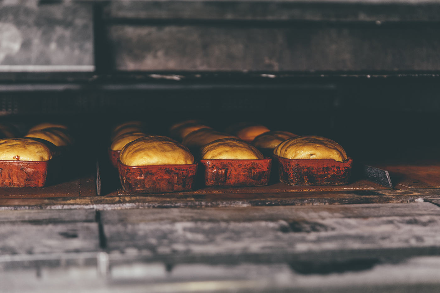 bakery bread porto alvaromartino alvaro martino intodesign Moutinho panificadora moutinho Food  food photography