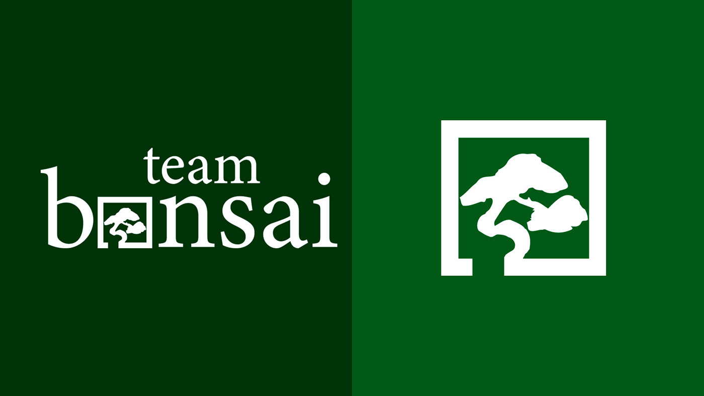 bonsai brand branding  design design gráfico graphic design  logo Logo Design Logotype Team Bonsai