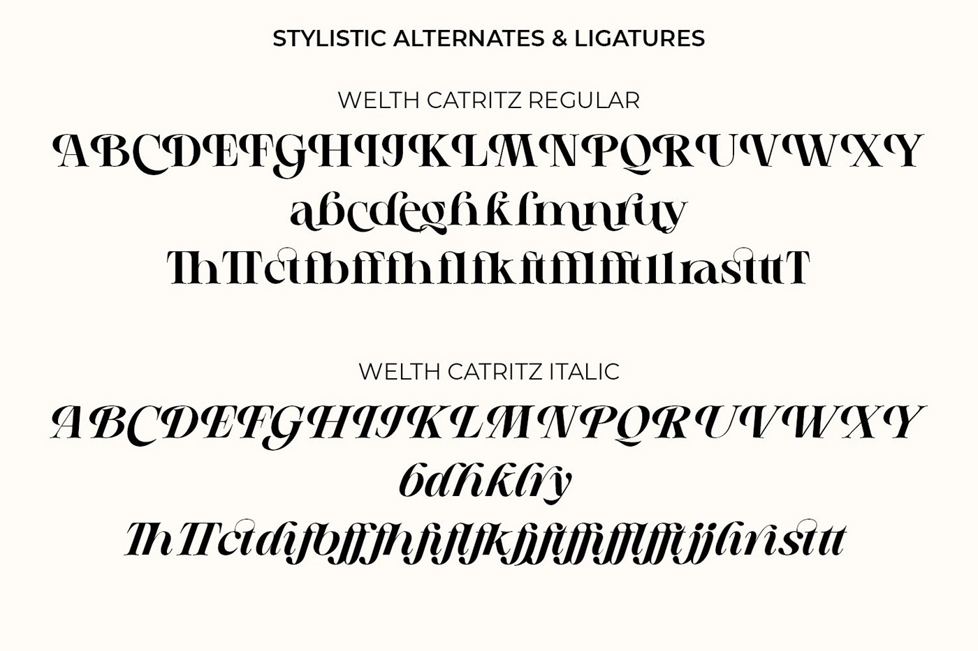 classic font classy font font free Free font free typeface serif Serif Font type typography  