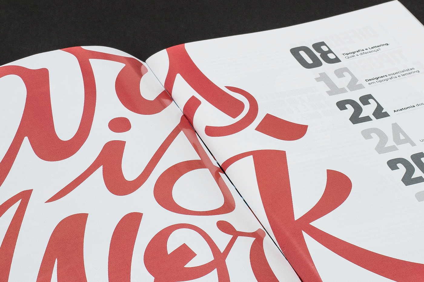 editorial design magazine catalog type lettering graphic design  identity typography  