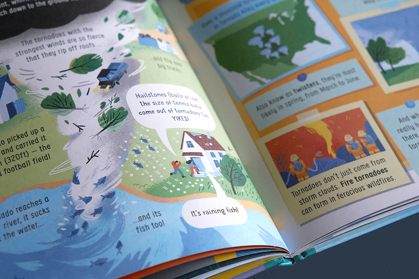 picturebook non-fiction climate environment Nature weather book Infotainment kids children