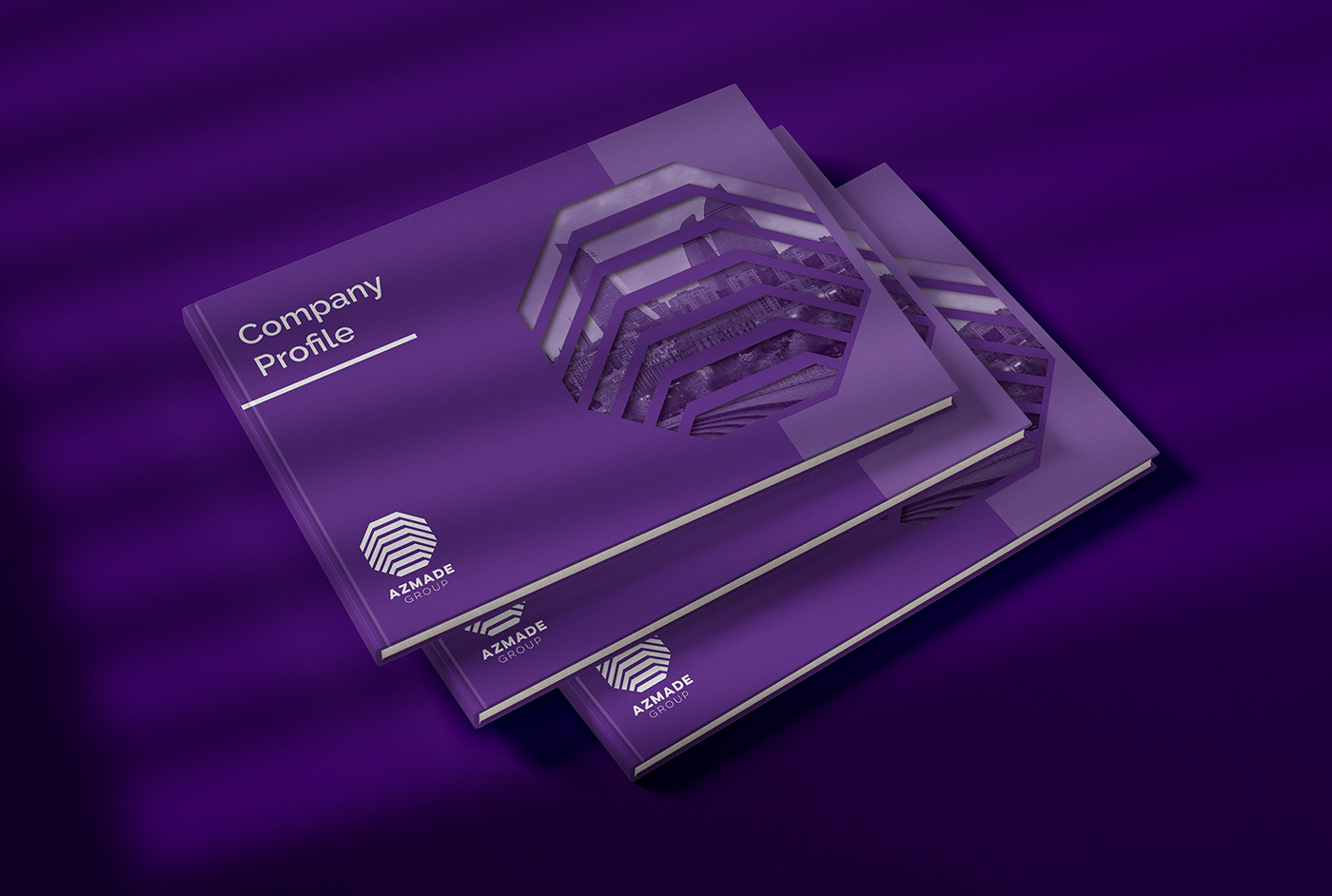 Brand Design catalog Catalogue companies editorial infographic Layout print printdesign Printing