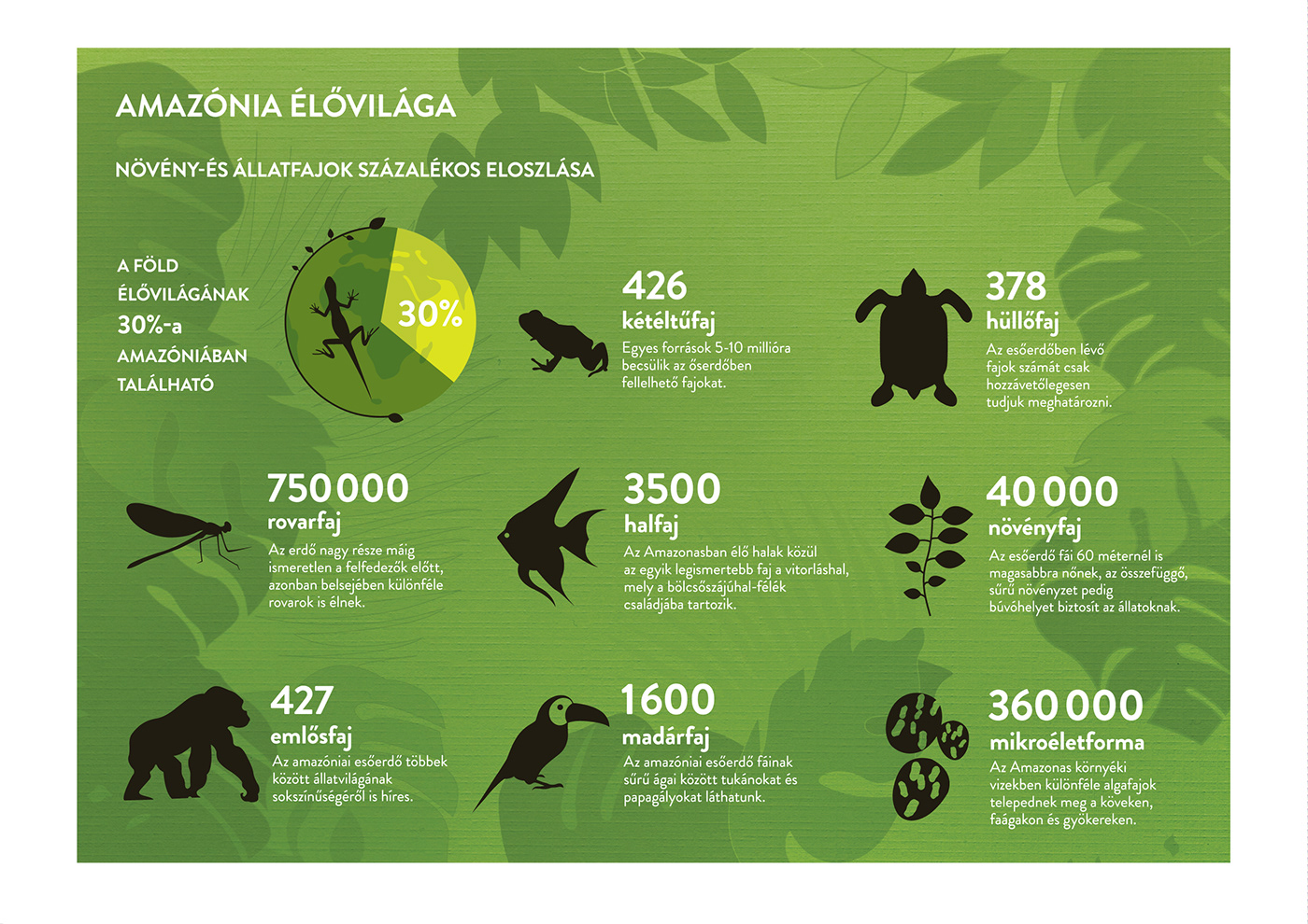 infographic amazonia Tropical Deforestation forest plants Amazonas river global warming