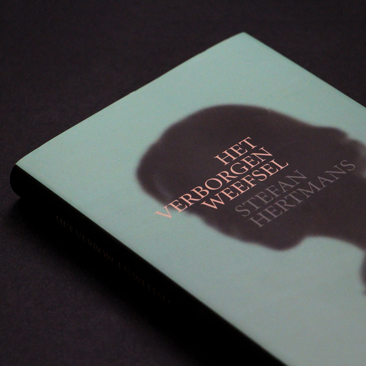 book design cover design de bezige bij novel Stefan Hertmans
