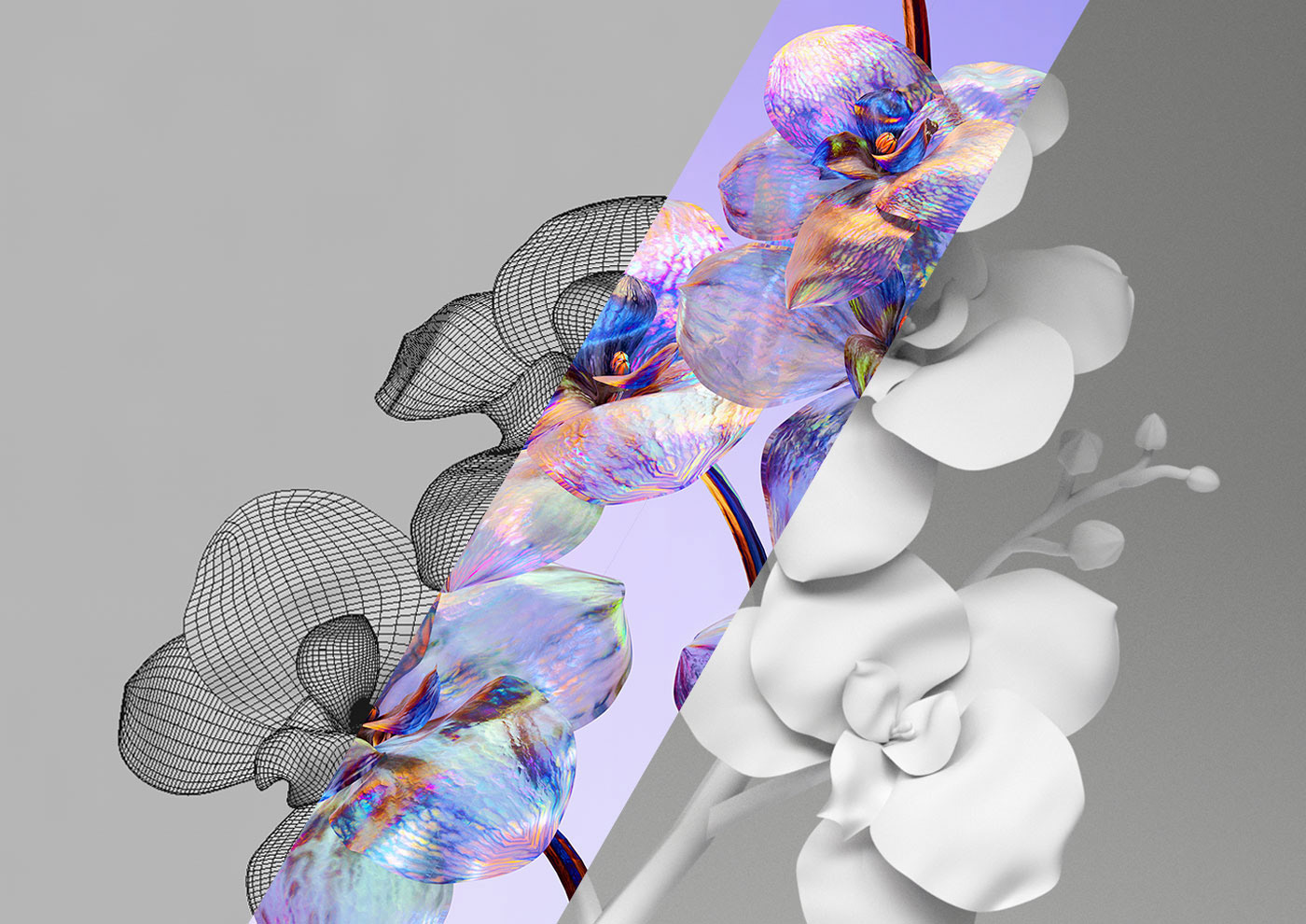 3D c4d cryptoart digitalart flower iridescent nft nft art vogue art