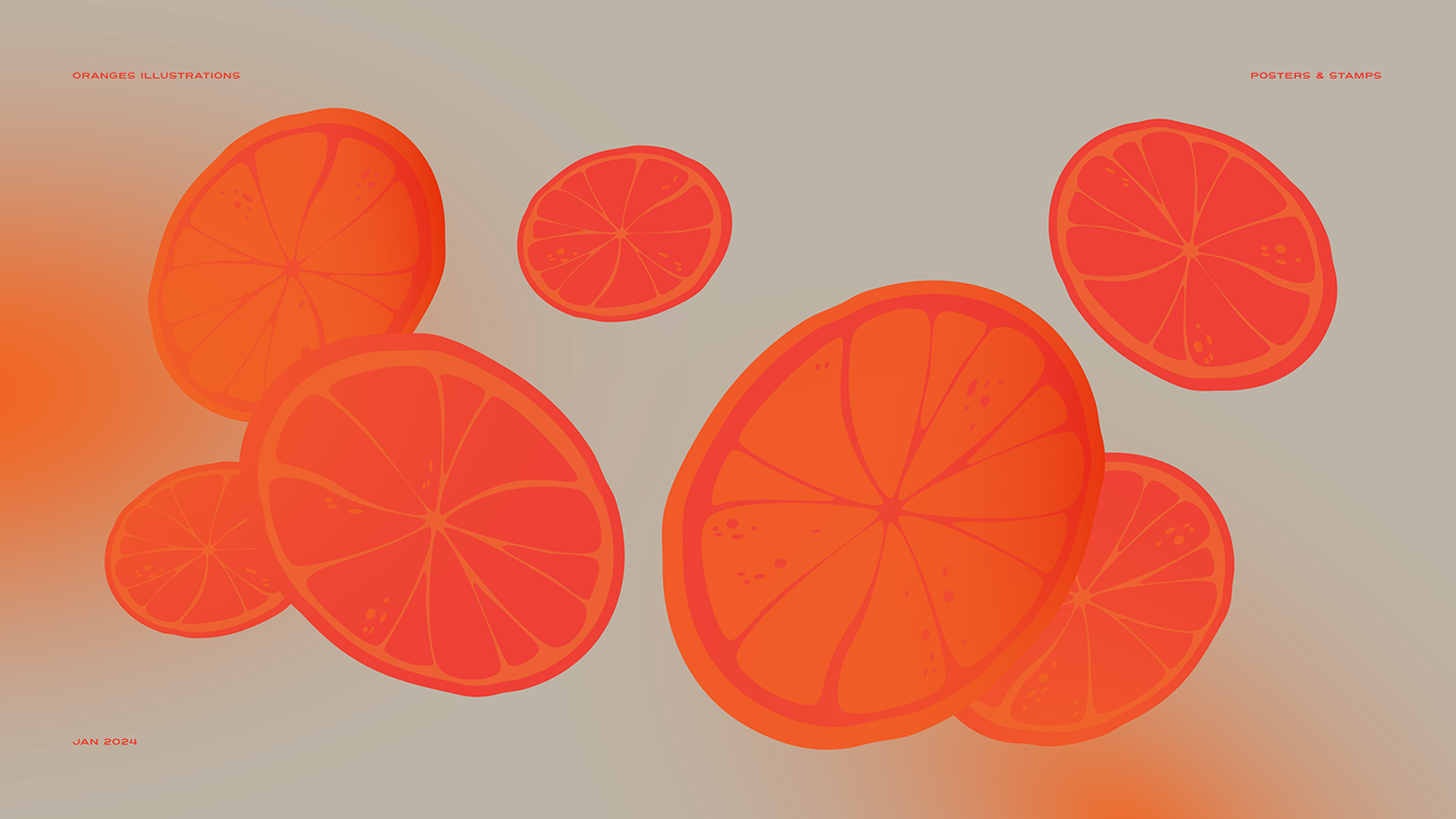 ILLUSTRATION  vector color orange fruits vintage modern poster Nature garden
