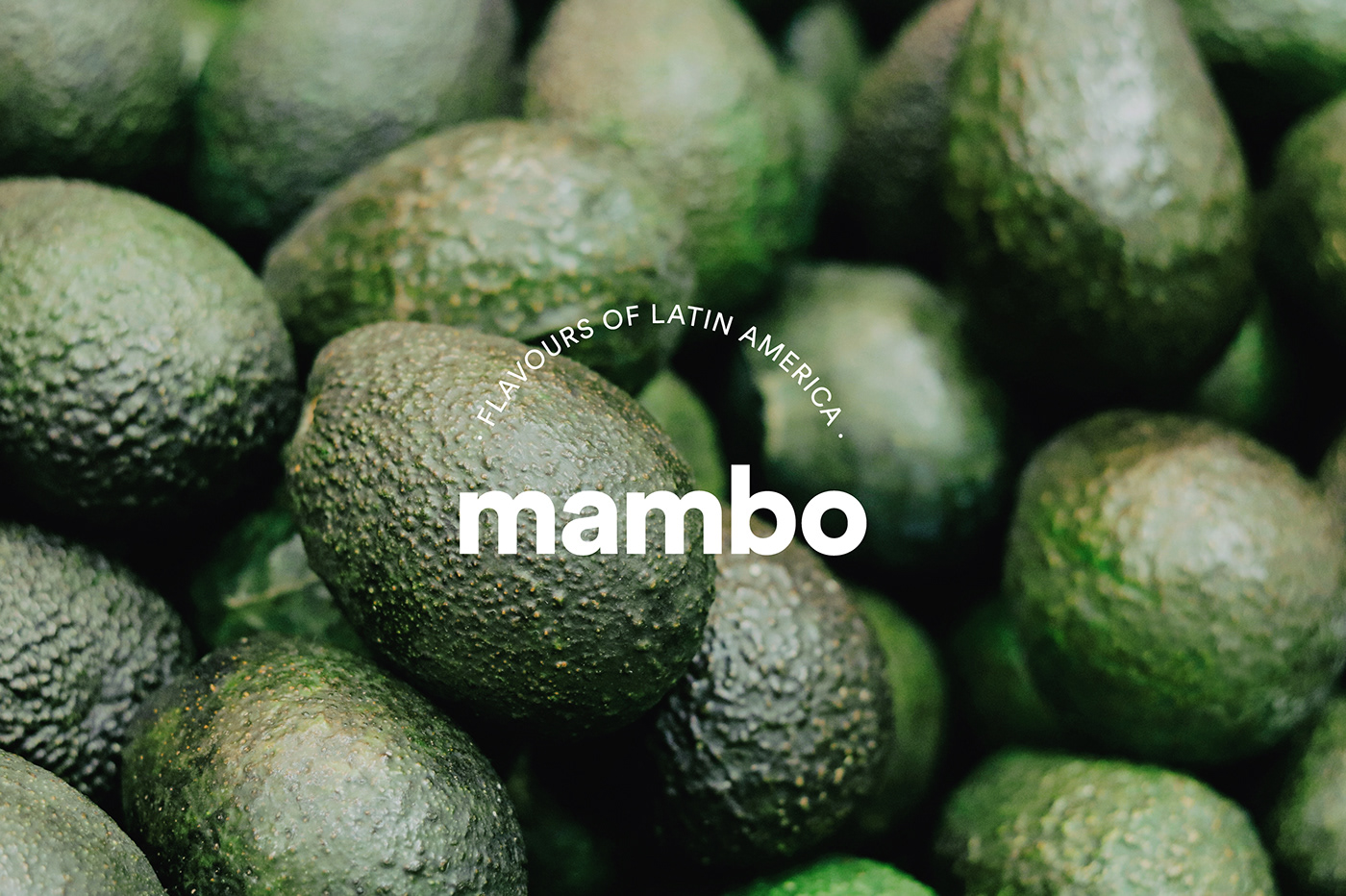 avocado branding  colombia guacamole healthy latin food naming