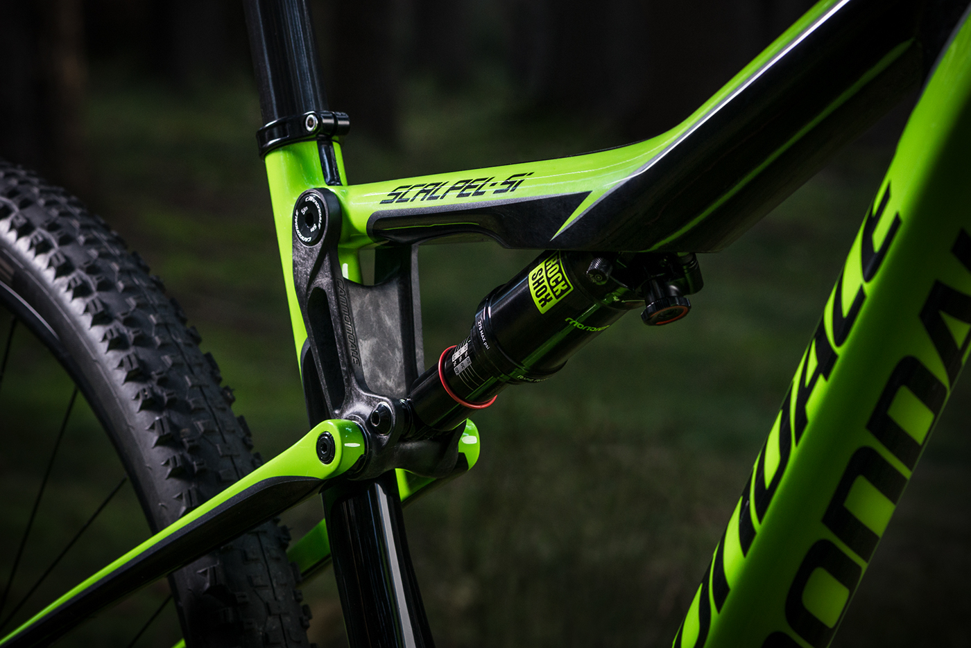 Cannondale MTB Photography  product forest green Bike shooting