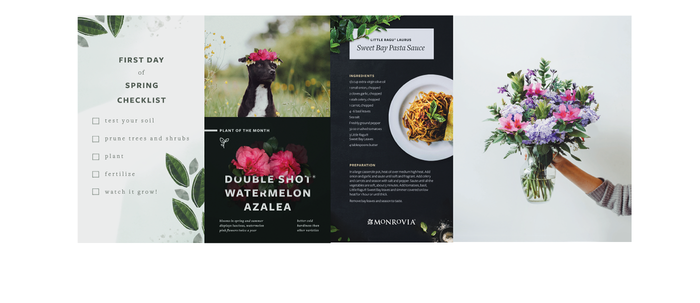 compositing Brand ID identity social media instagram Pinterest Style Guide branding  Flowers plants