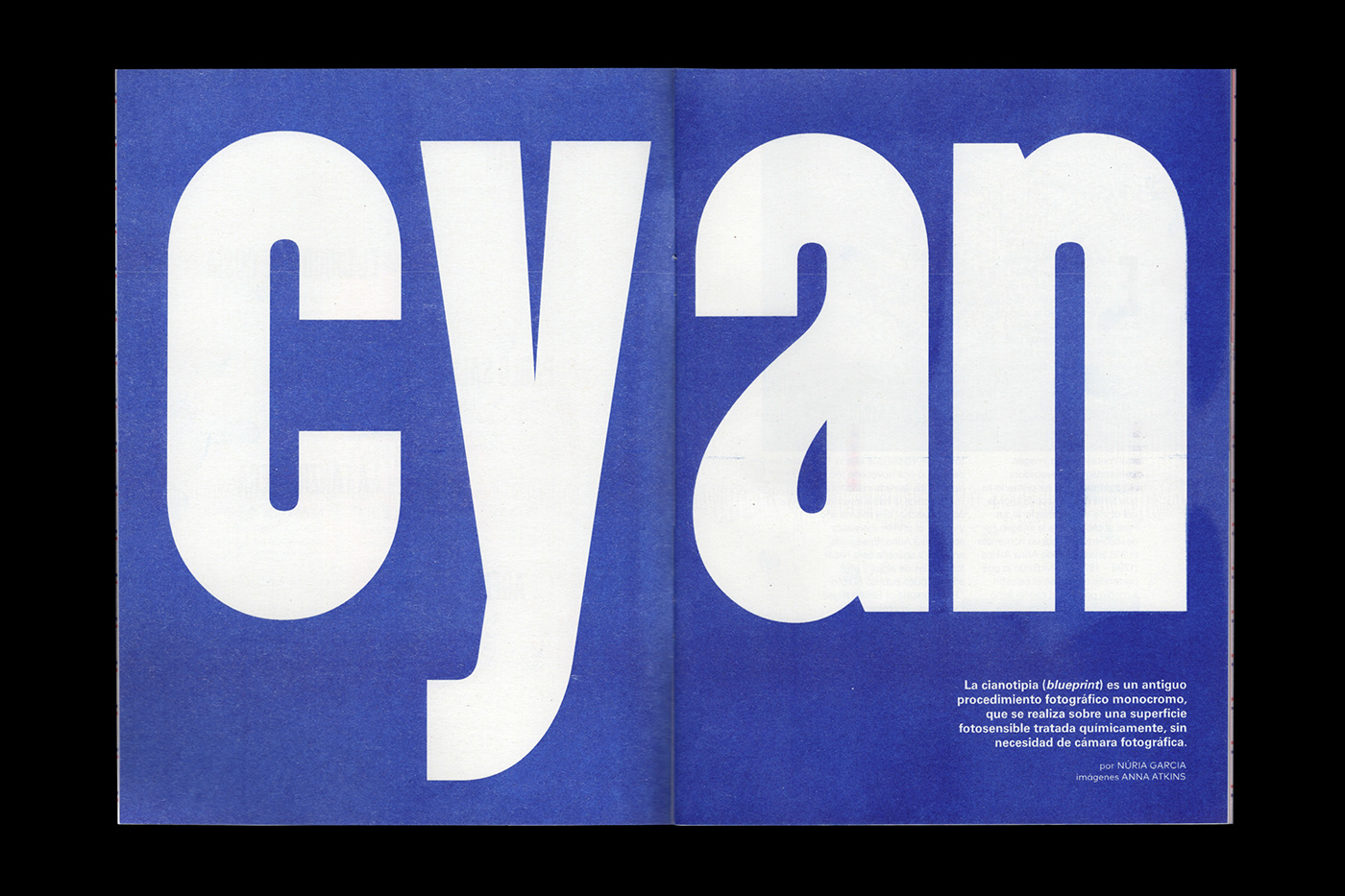 magazine DIY editorial design  graphic design  Magazine design risograph