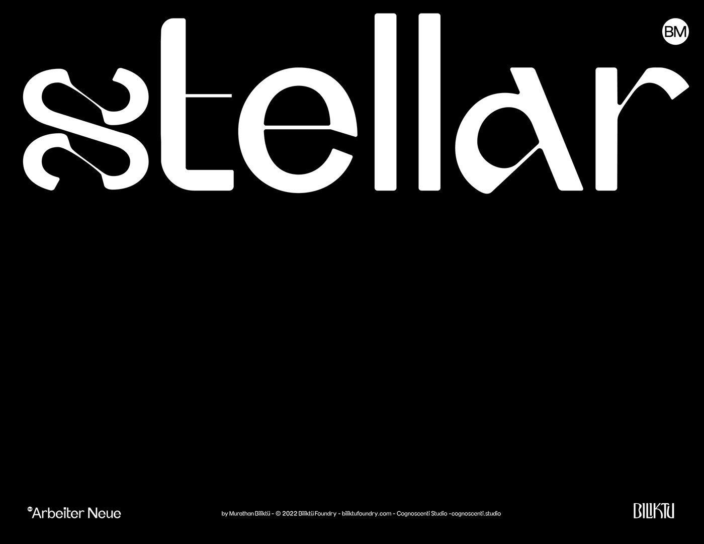 brand brand identity font identity Logo Design Logotype text Typeface typography   visual identity