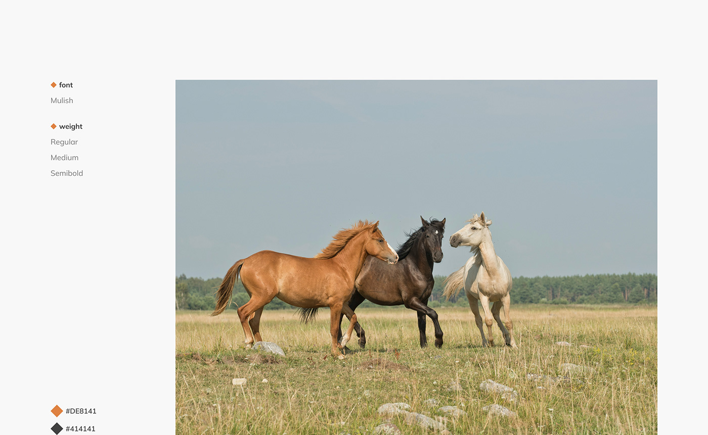 UI/UX Nature Travel design Russia tourism Bashkortostan Minimalism journey horses