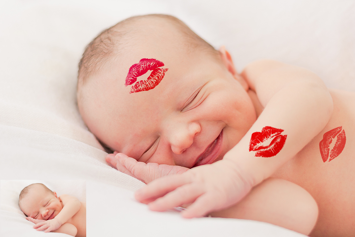 Animal Overlays baby photography blowing kiss Digital Overlay  kiss Love photo overlays photoshop overlay png overlays Wedding Overlays
