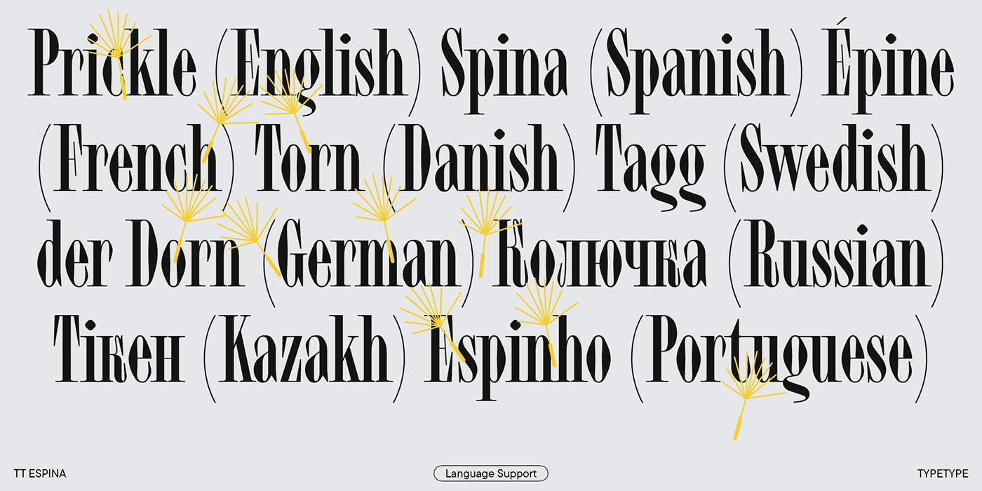 typography   Graphic Designer type Typeface type design font fonts font design serif display font