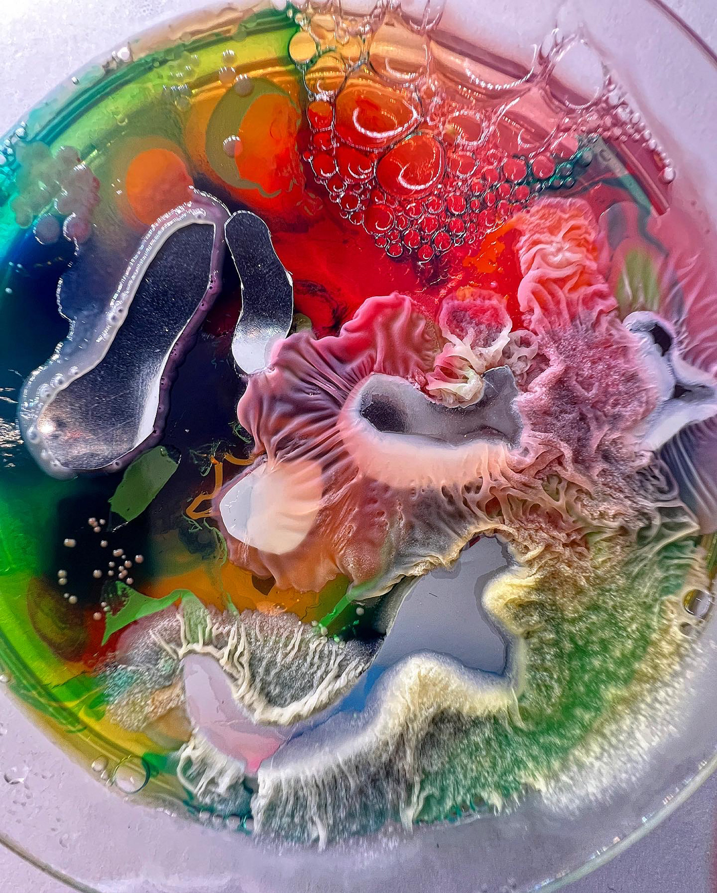 art biology closeup design fermentation Fungi inspo macro mood Mushrooms Nature pattern science