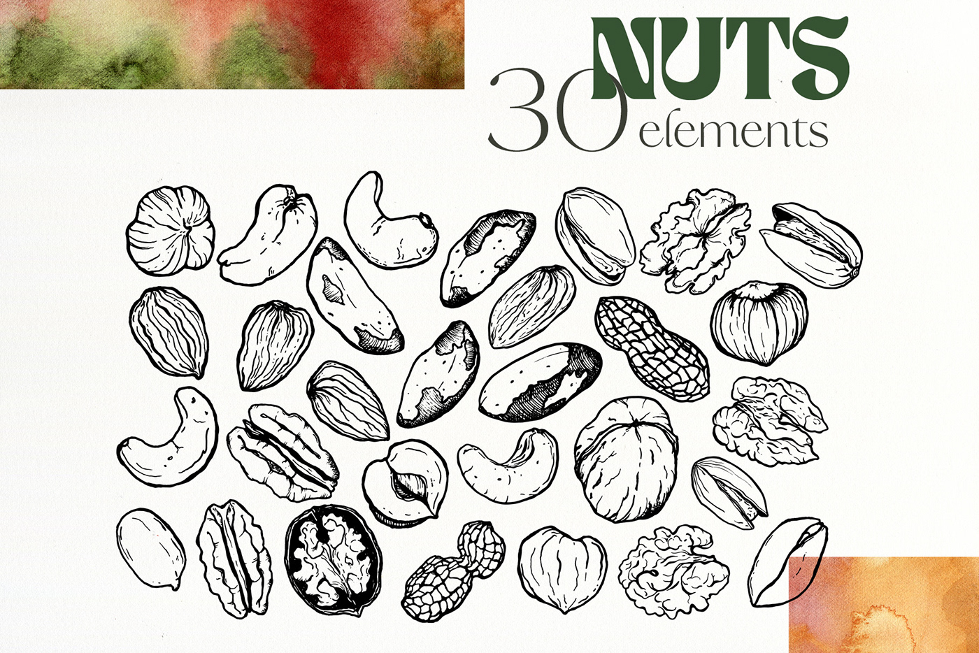 nuts Logo Design Graphic Designer seamless pattern surface design watercolor sketch vector packaging design food illustration