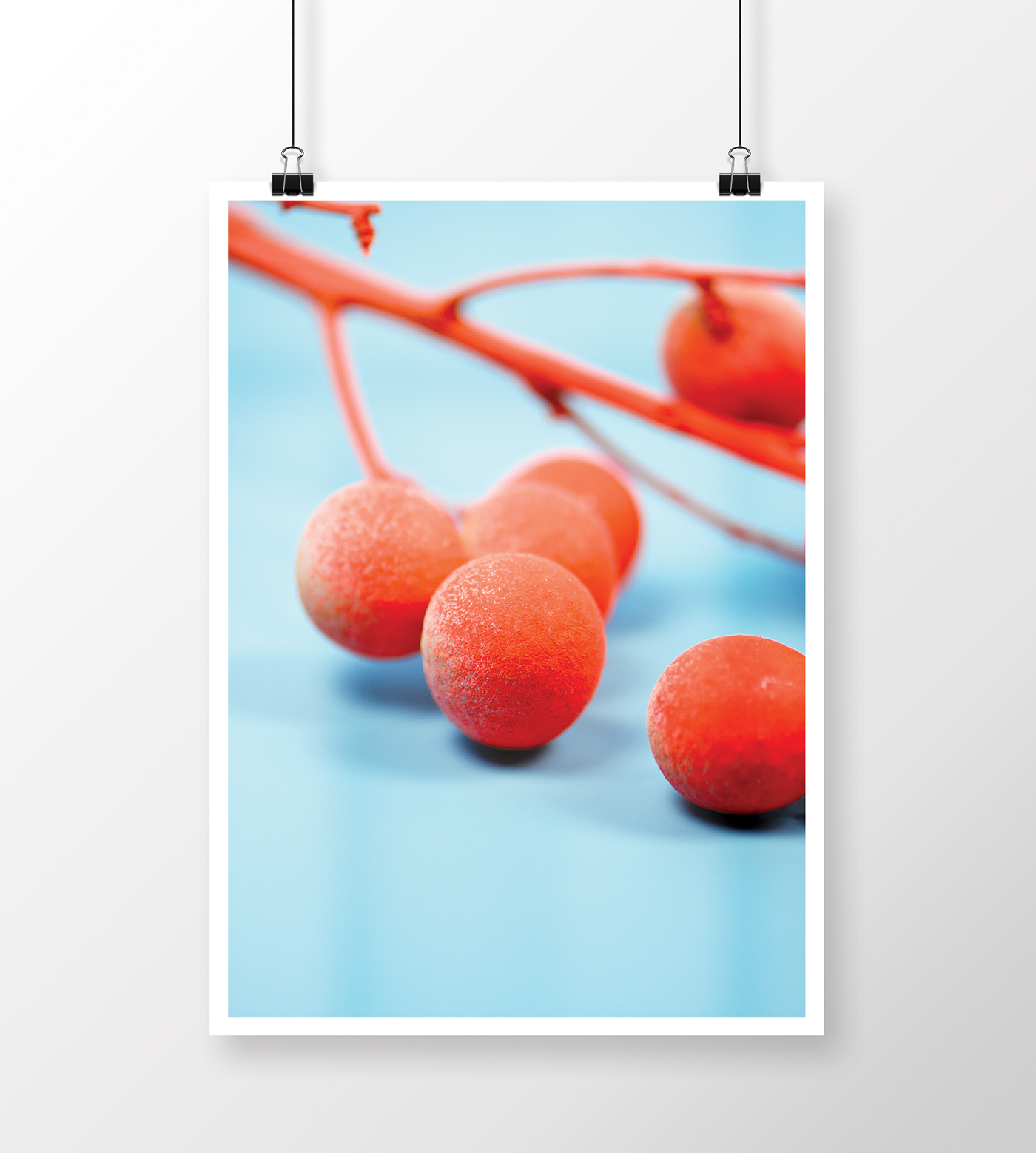 Photography  paint Fruit vegetable Food  postcard notebook card poster poison