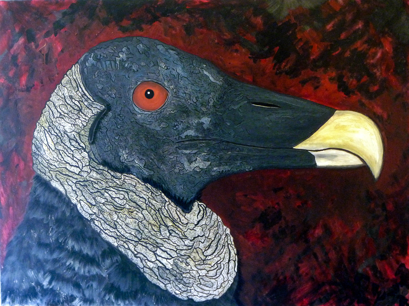 painting   bird animal vulture ink gouache watercolor portrait