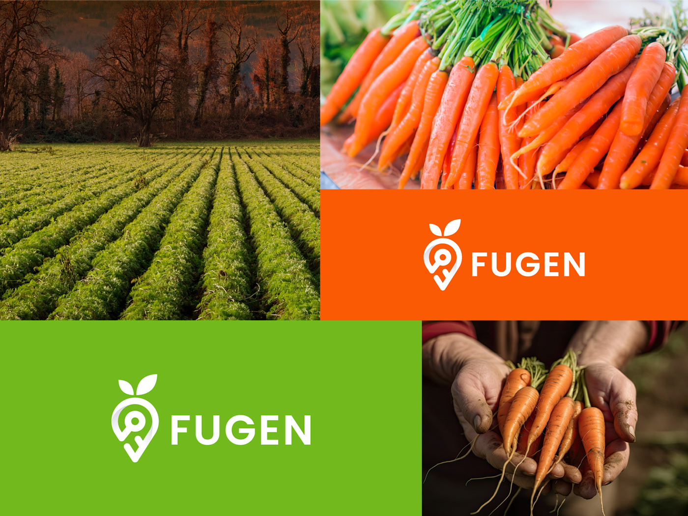 Carrot logo, fruit logo, Modern Logo, agriculture logo, fresh logo, Garden Logo, vegetable logo, Bra