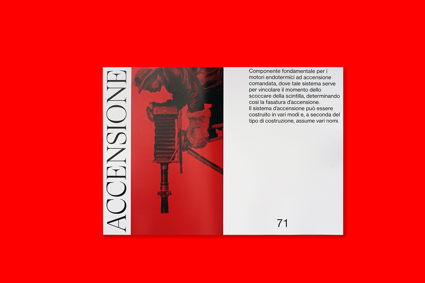 editorial book graphic design  InDesign artistic project contemporary