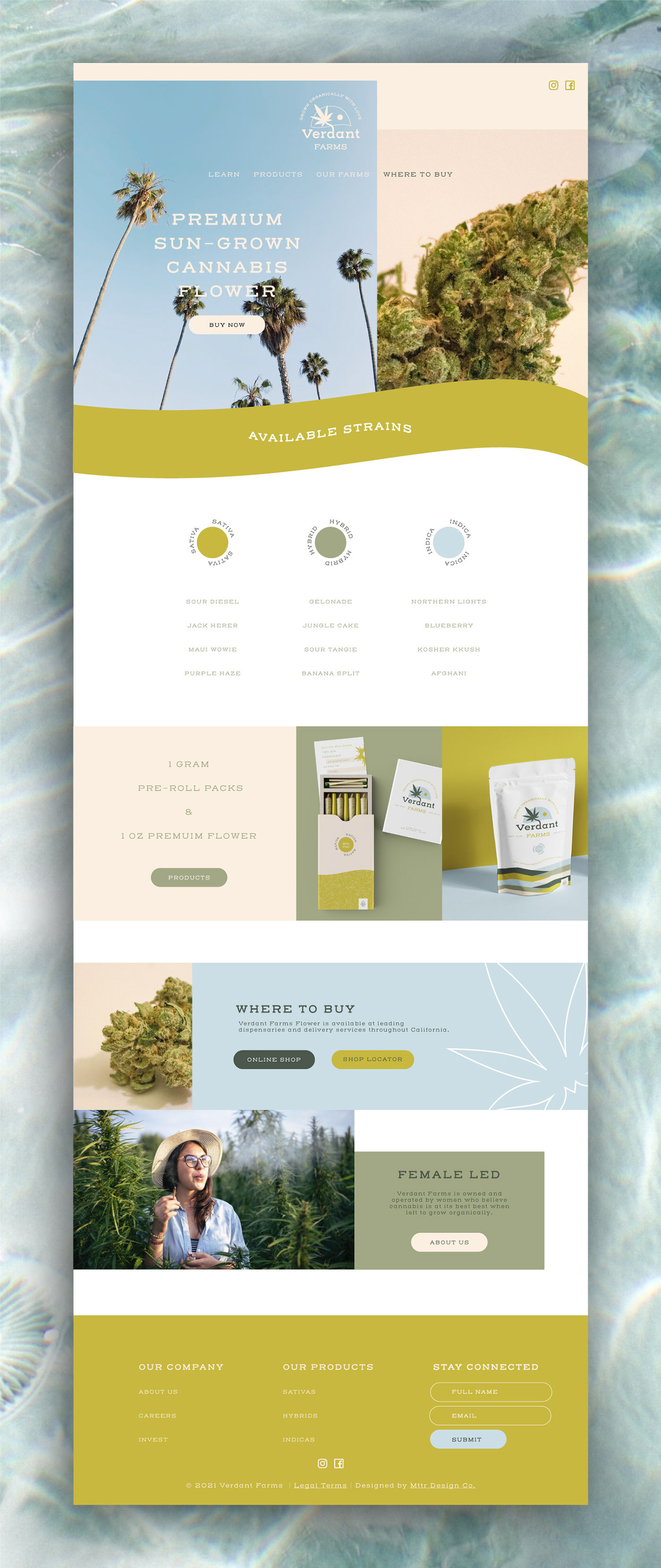 Brand Design cannabis design Logo Design packaging design social media Web Design 