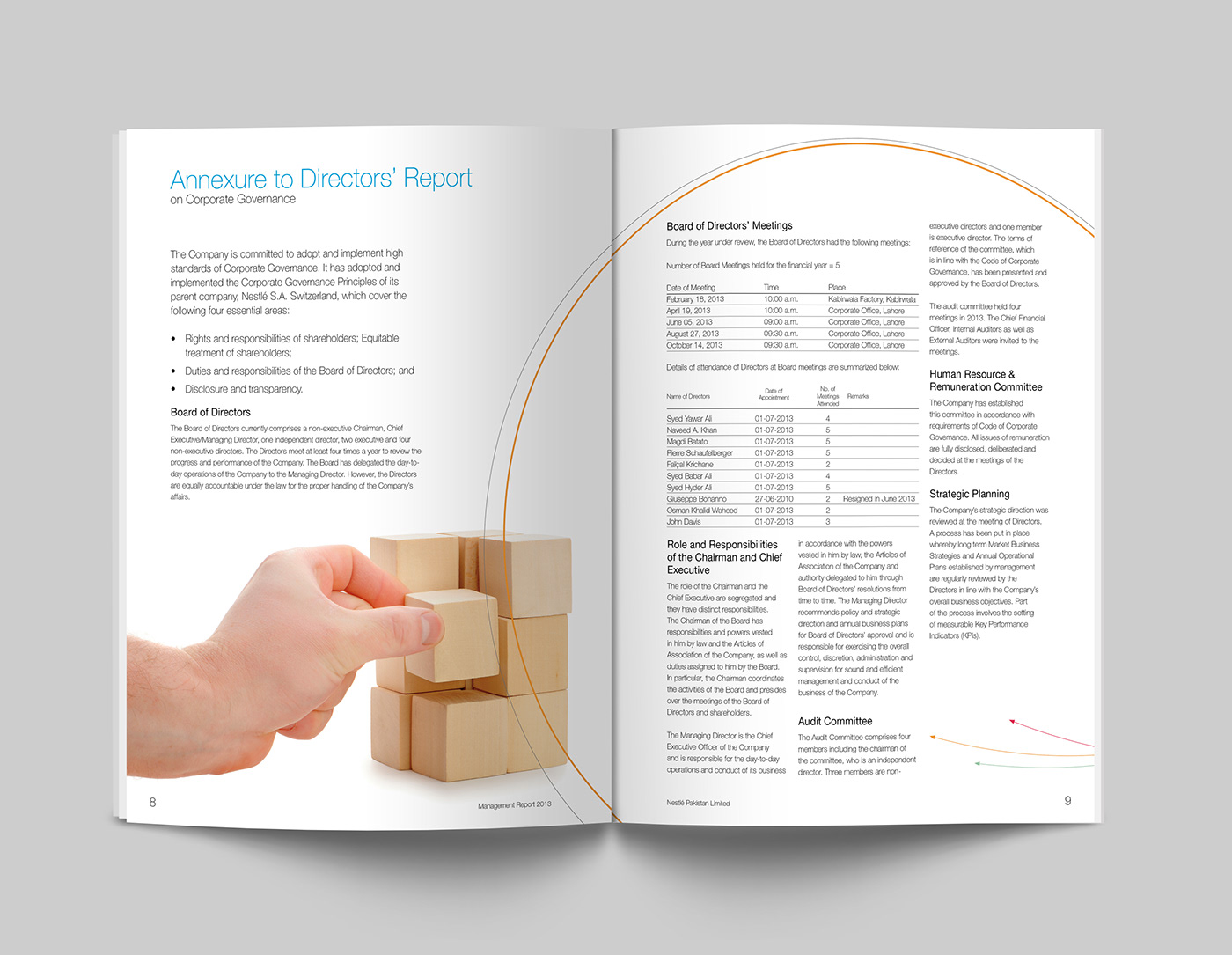 annual report Desktop Publising graphic design  book Photography  concept