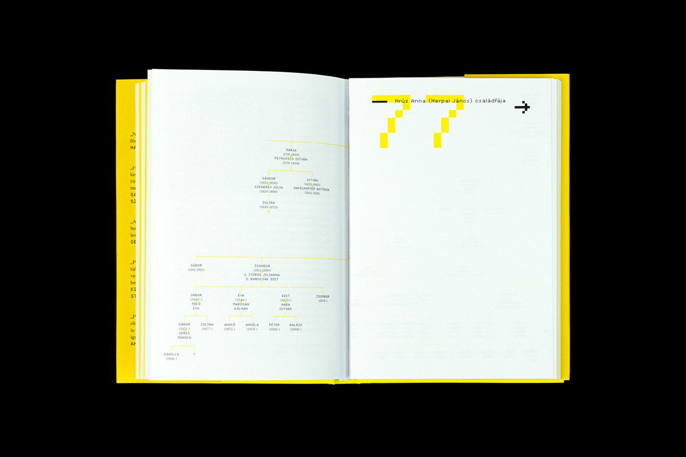 book pixel typography   Diecut black yellow petőfi photograph foldout hardcover