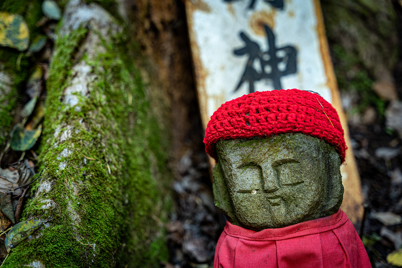 forest Jizô-san Nature Photography  temple