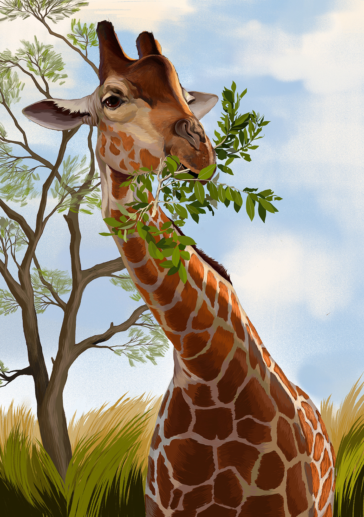 Image may contain: giraffe, sky and tree