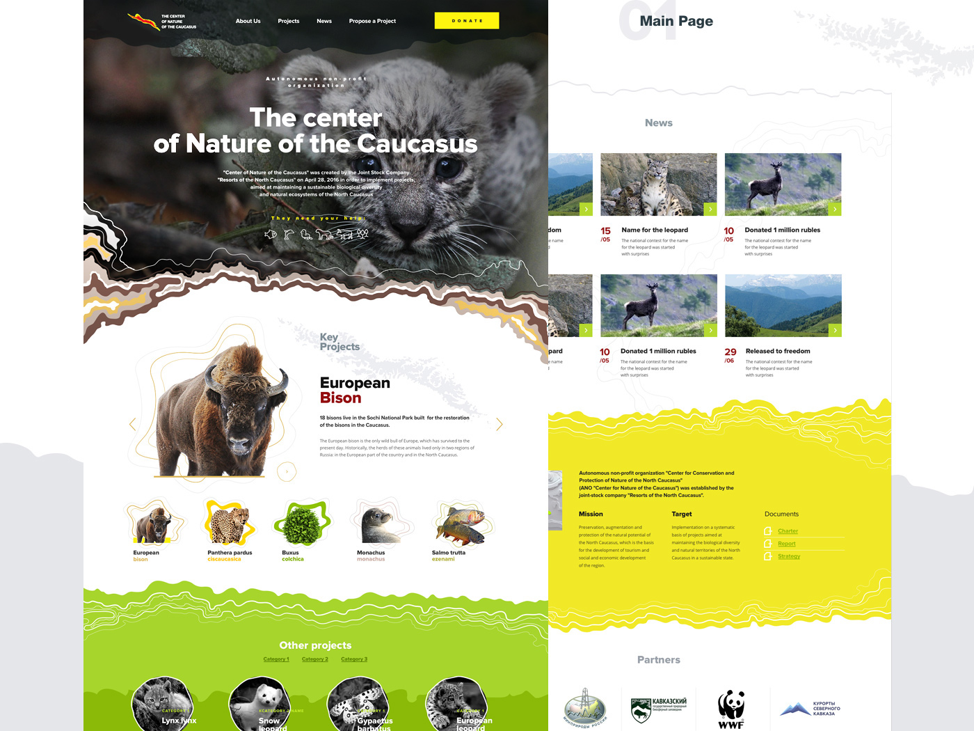 Web design Nature Forms colors Webdesign interaction animation 