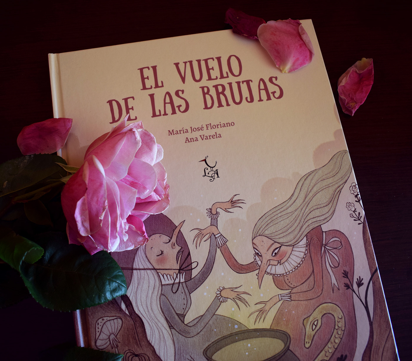 book bruja editorial escoba ILLUSTRATION  ilustracion infantil picturebook vuelo witch