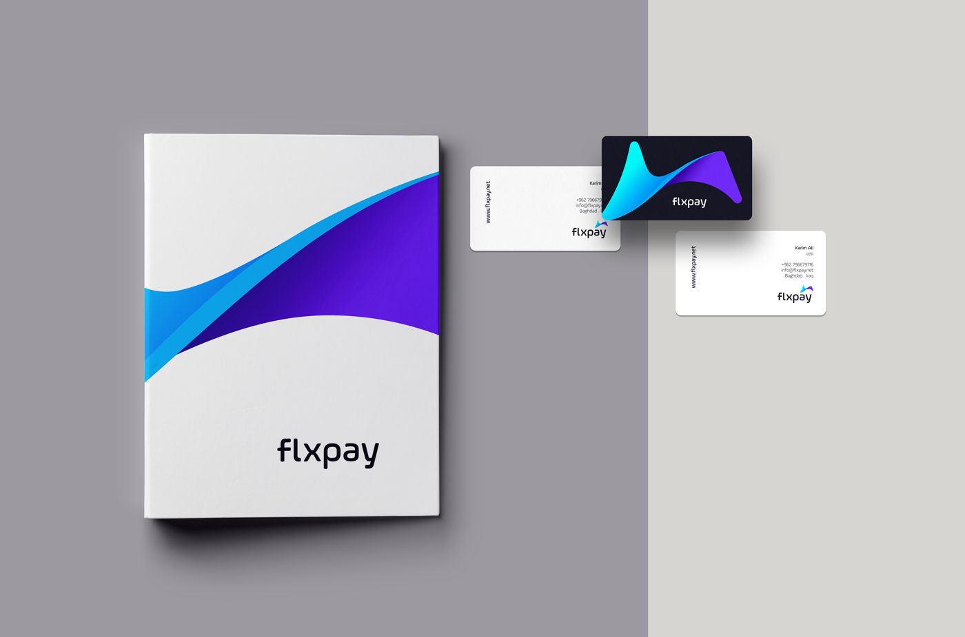 Flxpay Technology logo identity software identidade visual brand Pay Startup Fintech
