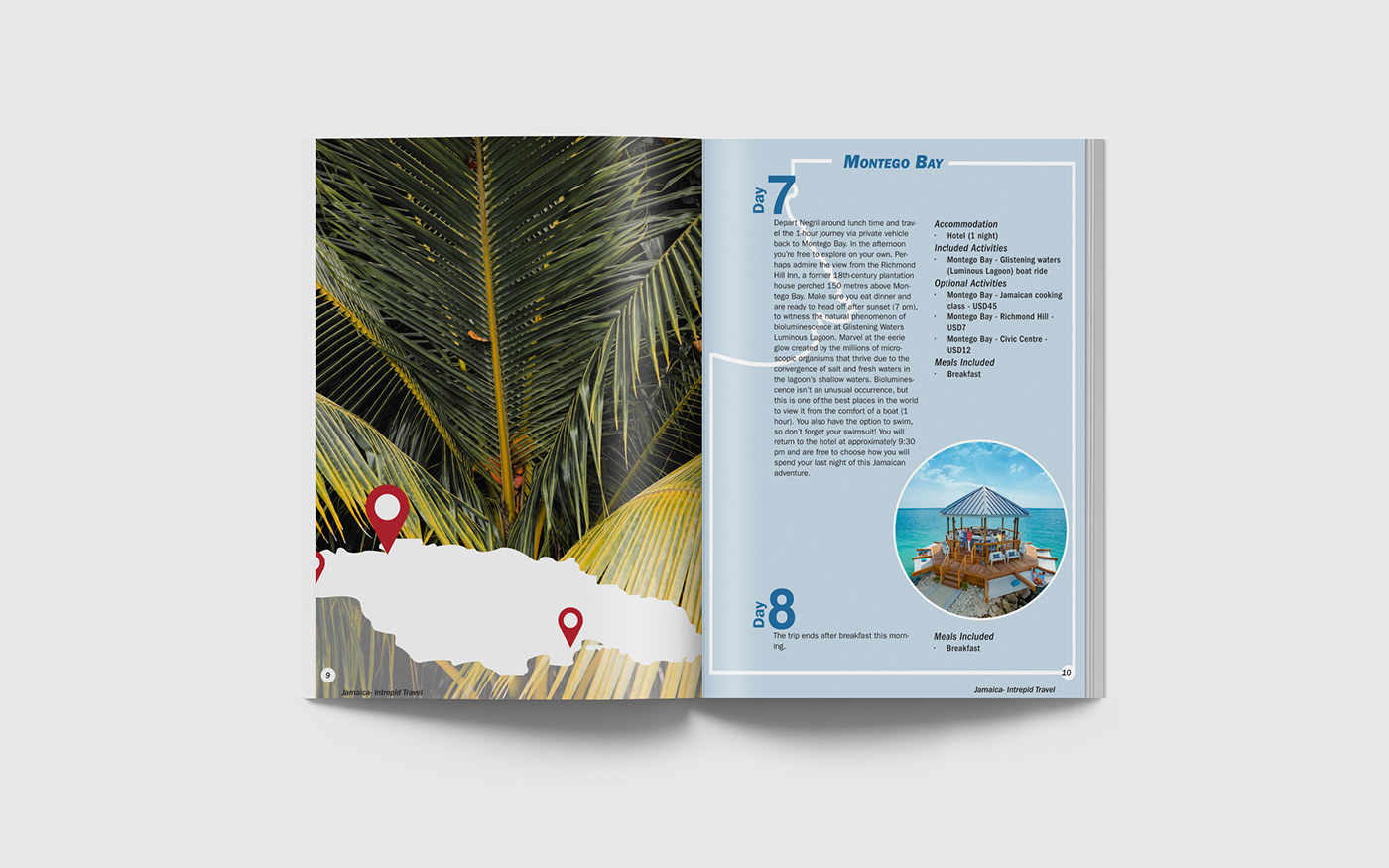 brochure design ILLUSTRATION  InDesign jamaica Nature Travel