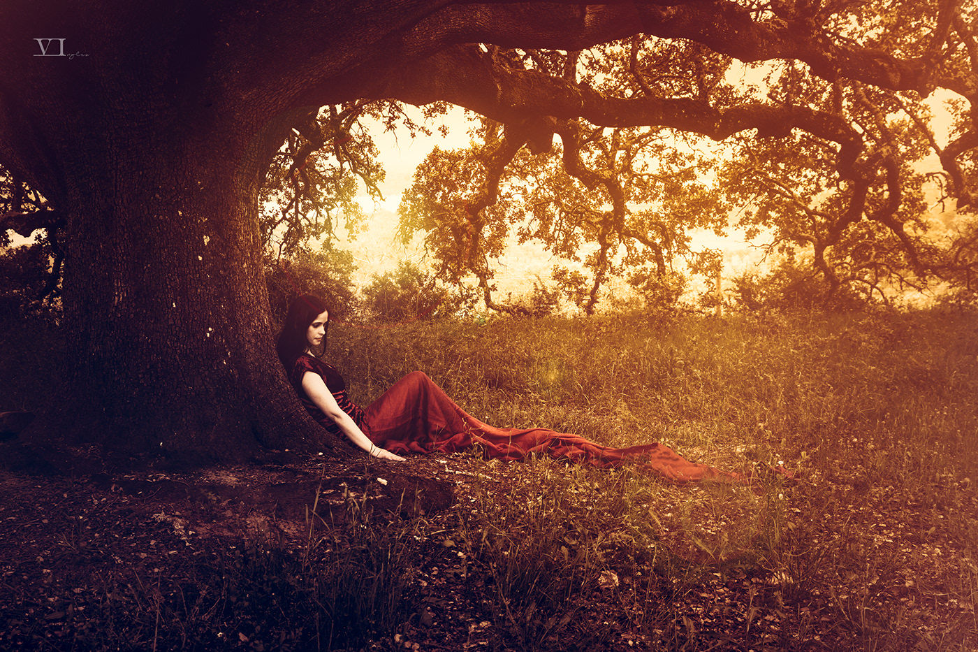 Vasco Inglez Photography  photoshoot model witch Nature Wicca dress long Tree 