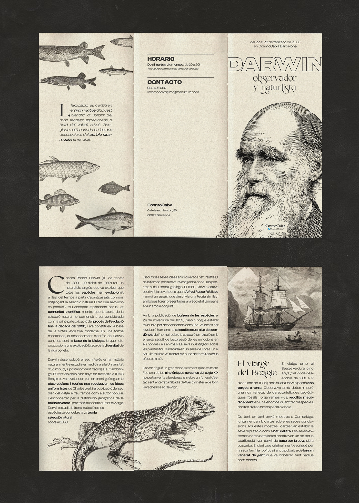 branding  brochure cultural darwin evolution expo gallery ilustration museum threefold