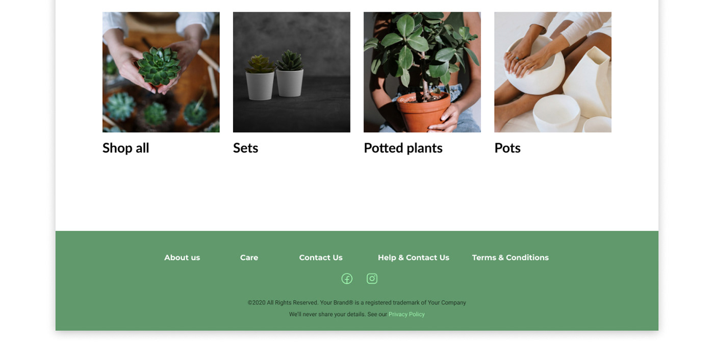 flowerpots green Minimalism online store online store design plants Succulents