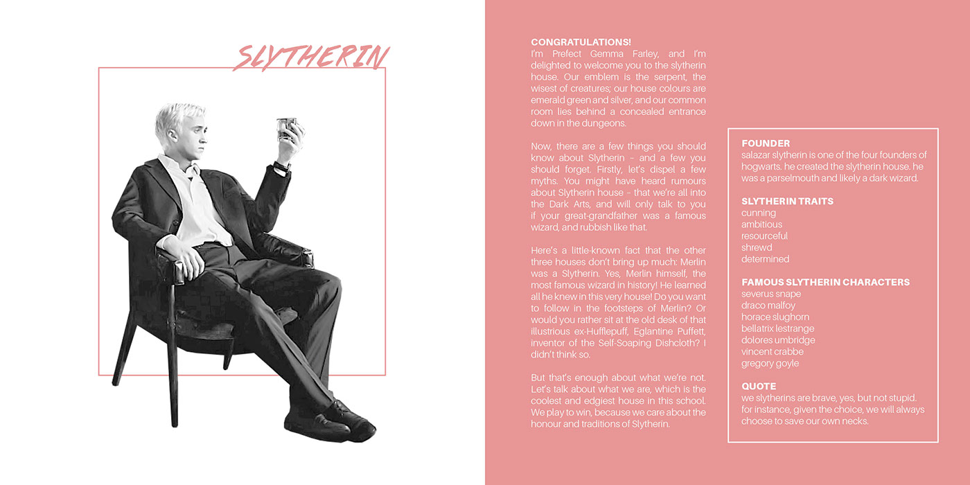 design book magazine graphic pink minimalistic InDesign